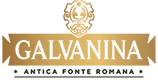 logo Galvanina
